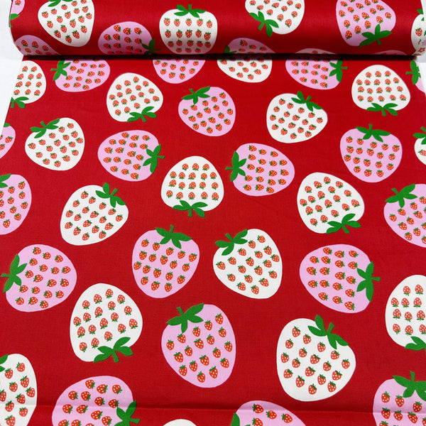 Strawberry Cotton Oxford Fabric by Koko Seki, Red