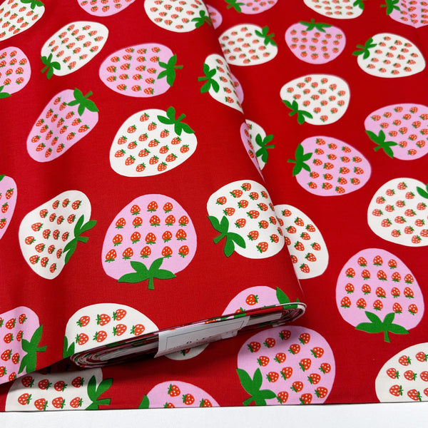 Strawberry Cotton Oxford Fabric by Koko Seki, Red