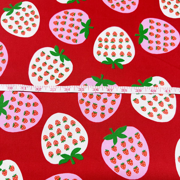 Strawberry Cotton Oxford Fabric by Koko Seki, Red