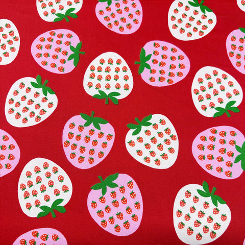 Strawberry Cotton Oxford Fabric by Koko Seki, Red