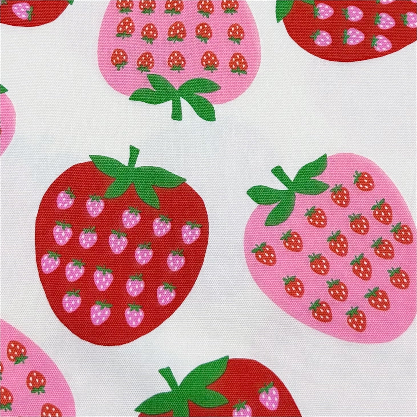 Strawberry Cotton Oxford Fabric by Koko Seki, White