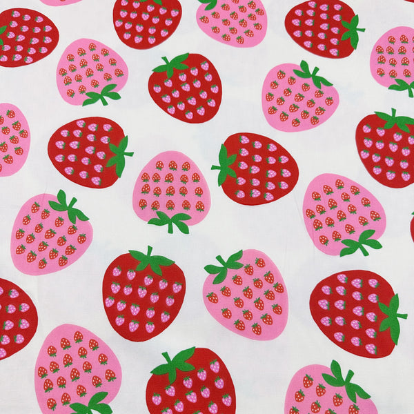 Strawberry Cotton Oxford Fabric by Koko Seki, White