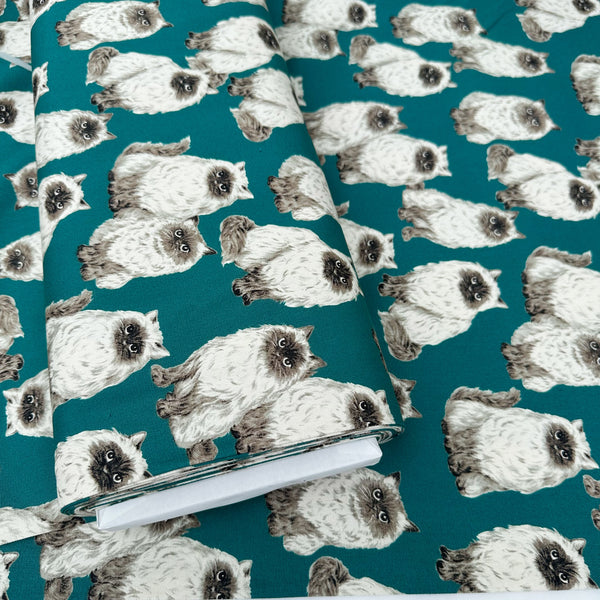 Bolt of Animal Friends Cat cotton oxford fabric in teal by Sevenberry featuring fluffy cat illustrations imported from Japan