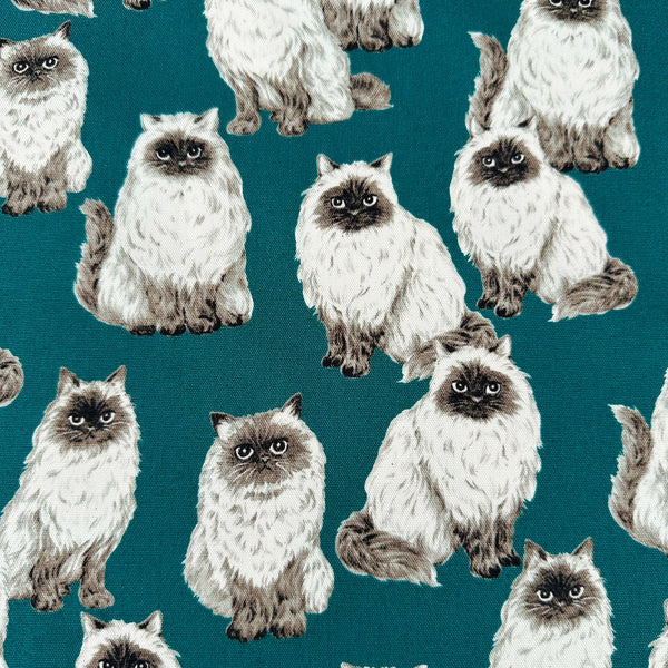 Animal Friends Cat cotton oxford fabric in teal by Sevenberry featuring fluffy cat illustrations imported from Japan
