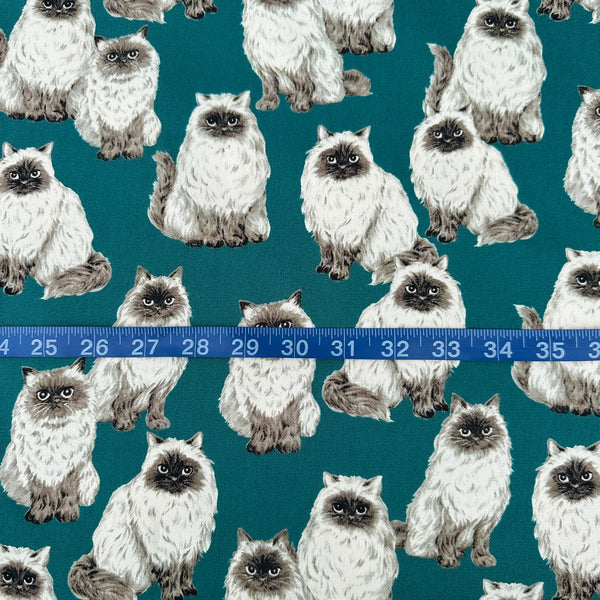 Scale of Animal Friends Cat cotton oxford fabric in teal by Sevenberry featuring fluffy cat illustrations imported from Japan