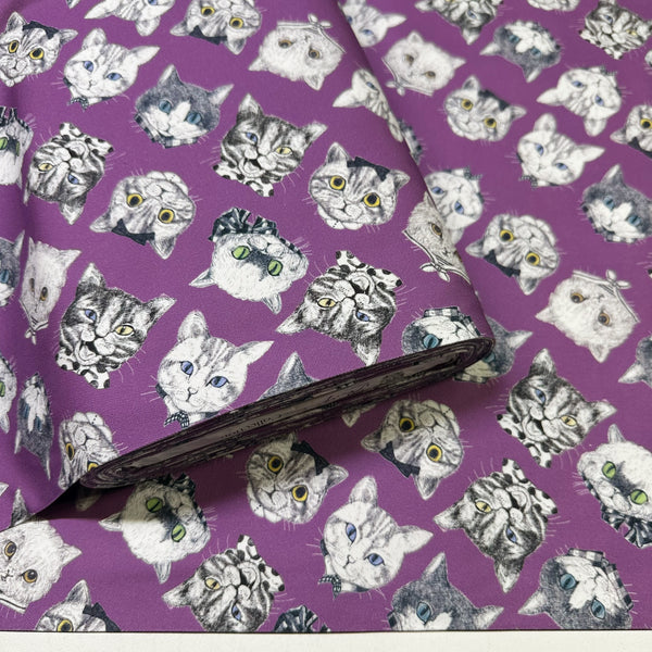 Bolt of Cat Faces cotton oxford fabric in purple by illustrator Ringo, imported from Japan