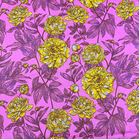 Housewarming Shocker Our Fair Home Cotton Fabric, Anna Maria for Free Spirit Fabrics PWAH207.SHOCKER