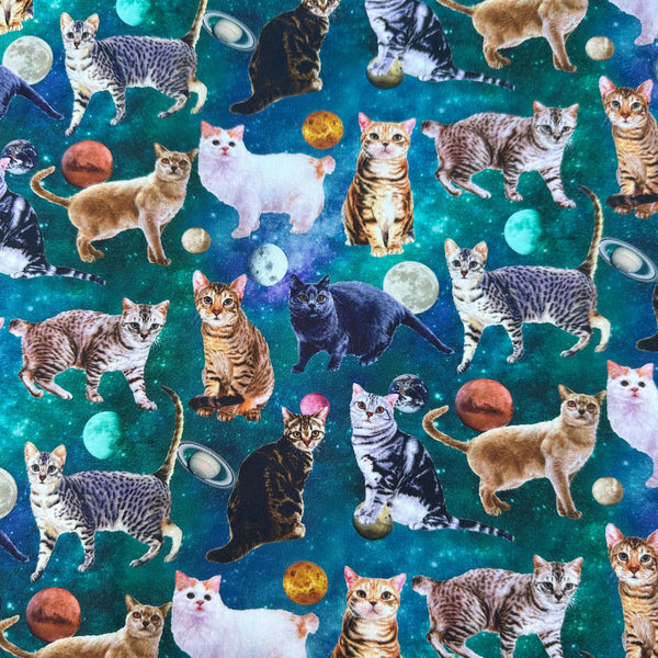 Day Dream Cat cotton fabric in Teal by Nora featuring photo-real cats scattered among moons and planets on a teal sky background