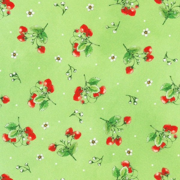 Strawberry Season Briar Hill Designs from Wishwell Cotton Fabric, Robert Kaufman ABYD-22315-55 SWEET PEA