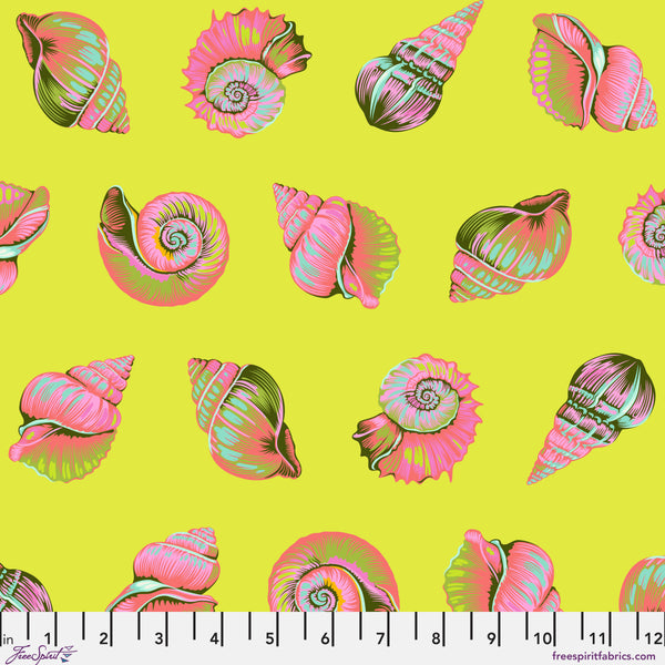 Scale of Lil Shelly in Seagrass from the Floral Reef collection by Tula Pink – colorful shell coordinating print