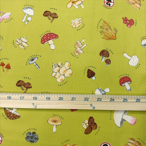 Scale of Mushroom cotton oxford fabric by Kokka in muted chartreuse, YPA-71000 1B
