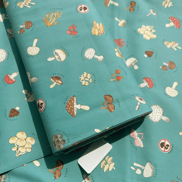 Bolt of Mushroom cotton oxford fabric by Kokka in dusty teal, style YPA-71000 1C