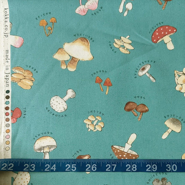 Scale of Mushroom cotton oxford fabric by Kokka in dusty teal, style YPA-71000 1C