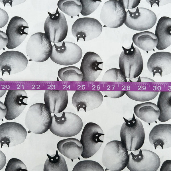 Scale of Stone Cats cotton fabric in Gray by Nora featuring round stone cats with a quirky, surreal charm and slightly eerie appeal