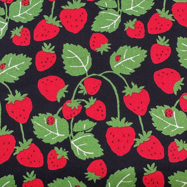Close up of Strawberries Vines cotton oxford fabric in black by Sevenberry, Japanese import featuring strawberry and vine print