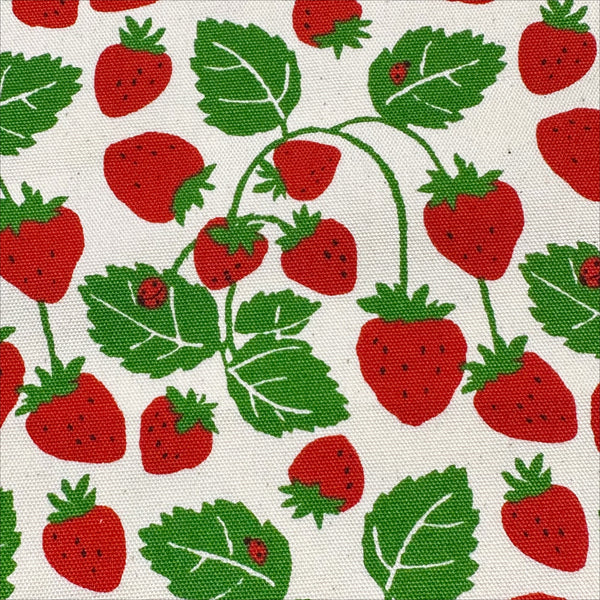 Close up of Strawberries Vines cotton oxford fabric in white by Sevenberry, Japanese import featuring strawberry and vine print
