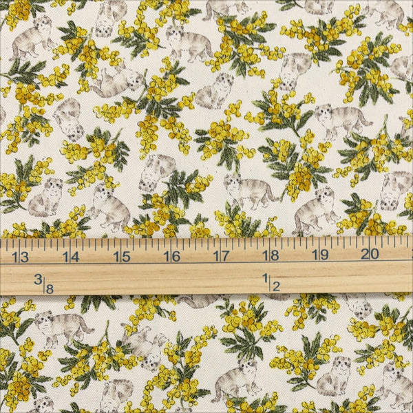 Scale of Sweeties Mimosa Cats cotton oxford fabric by Kokka in ivory, YKA-46020-1A