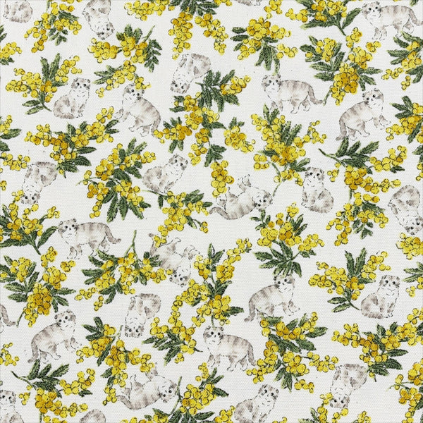 Sweeties Mimosa Cats cotton oxford fabric by Kokka in ivory, YKA-46020-1A