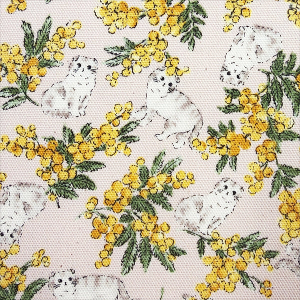 Close up of Sweeties Mimosa Cats cotton oxford fabric by Kokka in pale pink, YKA-46020-1B