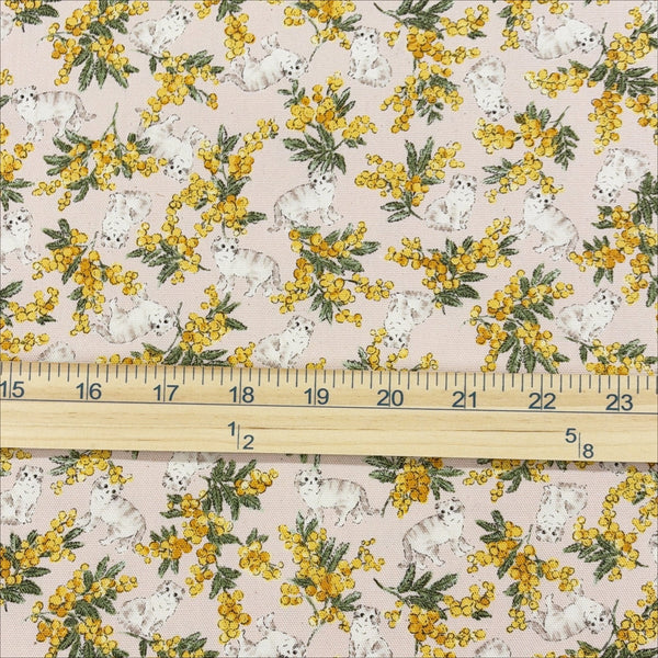 Scale of Sweeties Mimosa Cats cotton oxford fabric by Kokka in pale pink, YKA-46020-1B