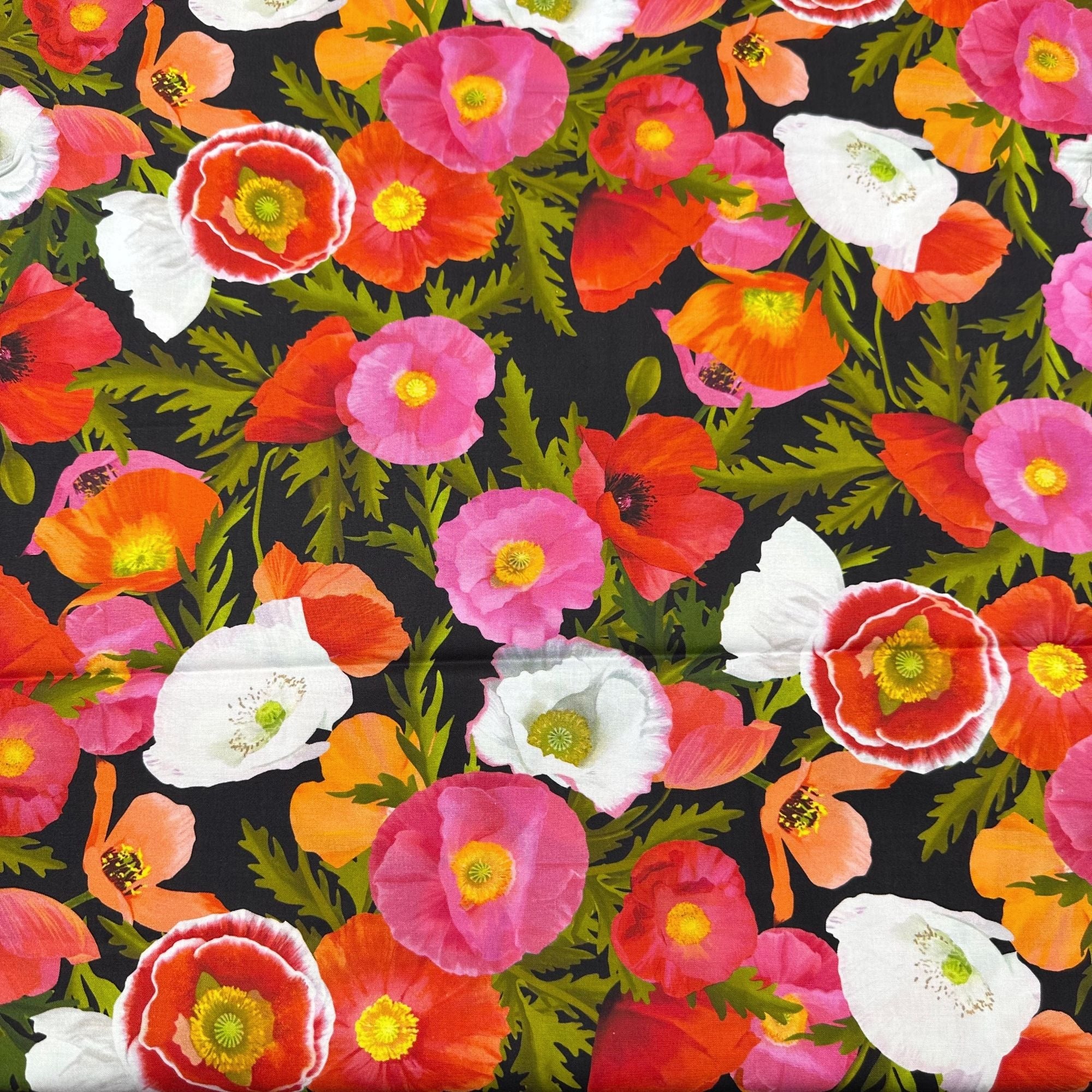 Positively Poppies Poppies Packed Bouquets Black by Diane Neukirch Clothworks Fabric